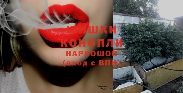 крисы Каменск-Шахтинский