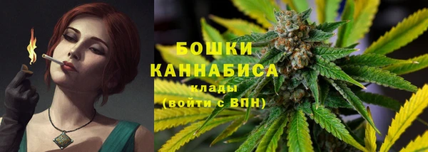 ALPHA-PVP Каменка